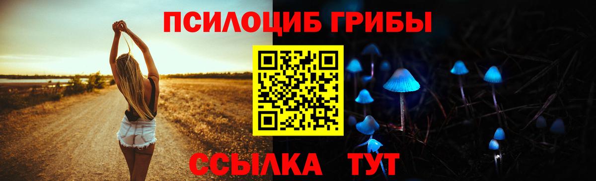 Первоуральск  Псилоцибиновые грибы мухоморы  купить   Вход с VPN 
